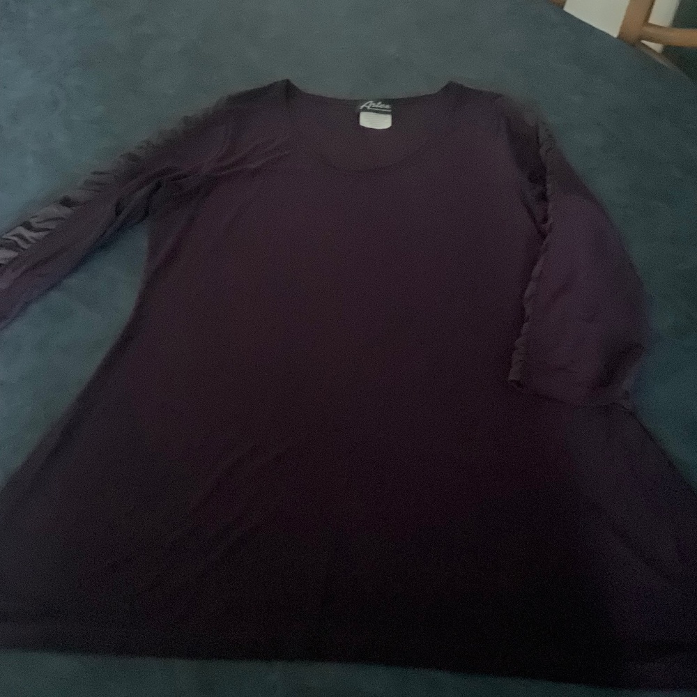 Artex top with sheer long sleeves